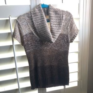 Ombré Brown Short Sleeve Sweater
